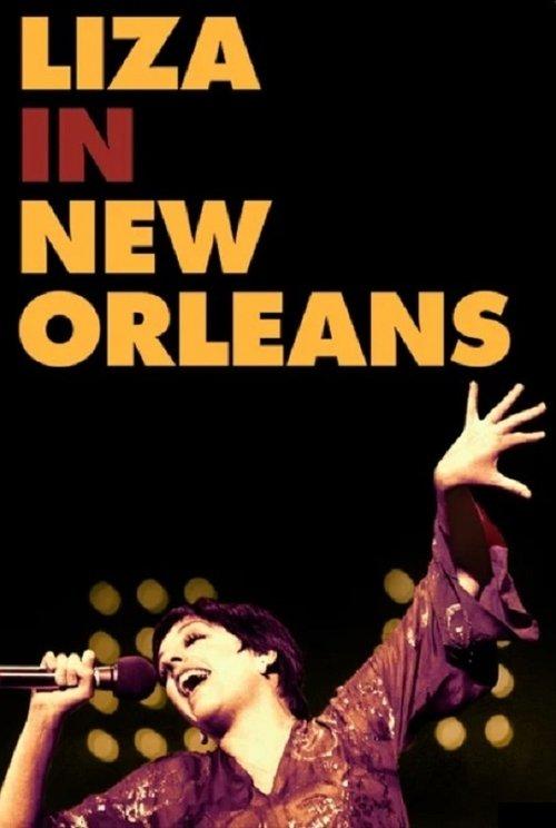 An Evening with Liza Minnelli 1980 official movie poster