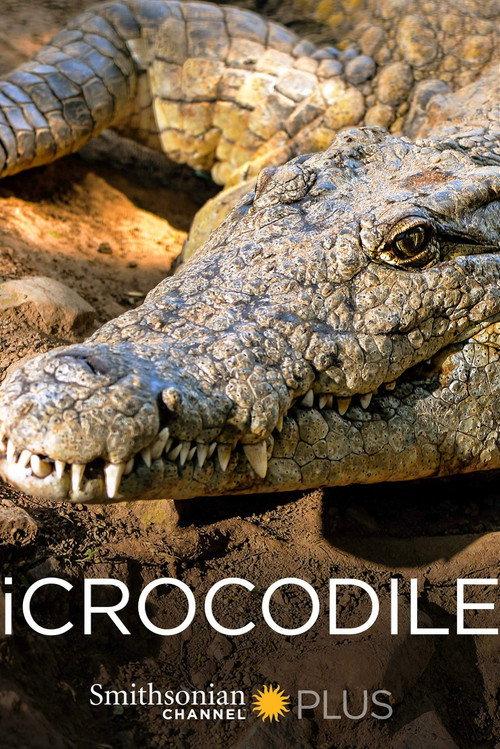 iCrocodile 2015 official movie poster