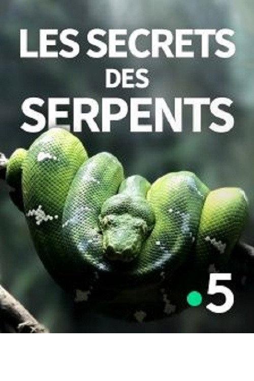 The Secrets of the Snakes 2016 official movie poster
