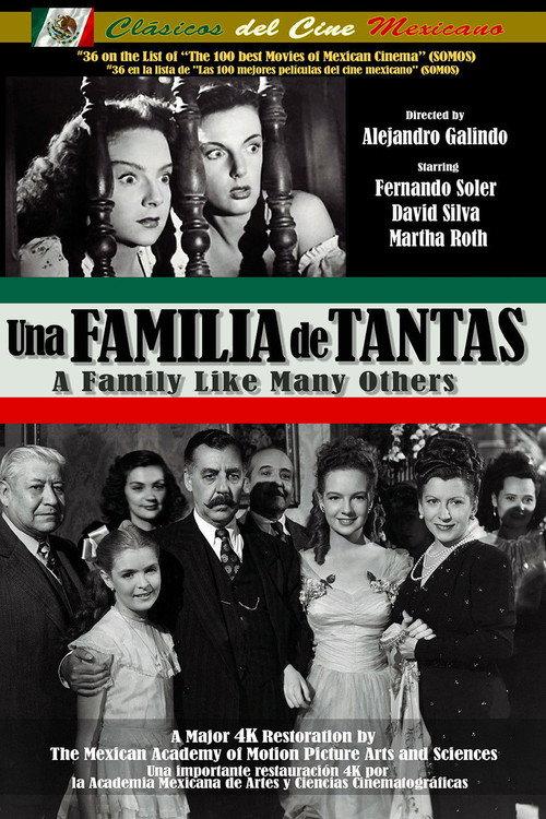 A Family Like Many Others 1949 official movie poster