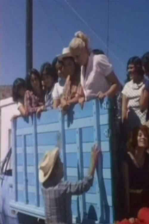 La cosecha de mujeres 1981 official movie poster
