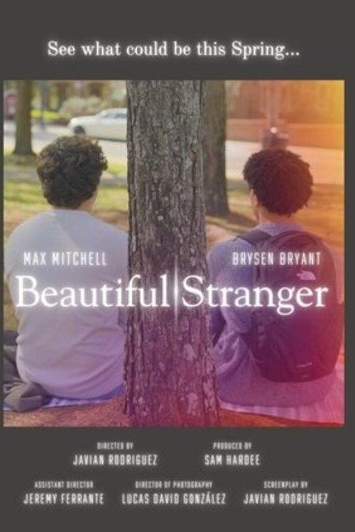 Beautiful Stranger 2025 official movie poster