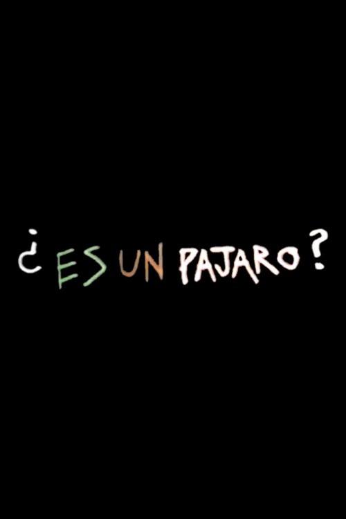 Es Un Pajaro 1974 official movie poster
