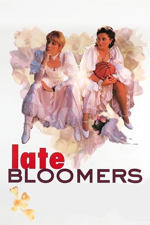 Late Bloomers 1996 official movie poster