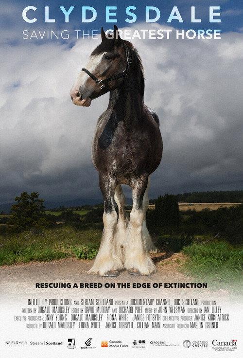 Clydesdale: Saving the Greatest Horse 2020 official movie poster