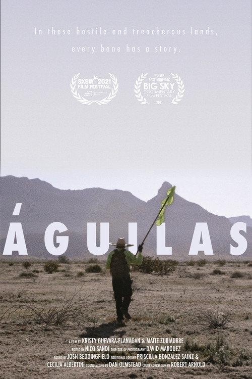 Eagles 2021 official movie poster