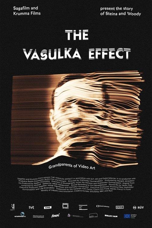 The Vasulka Effect 2020 official movie poster
