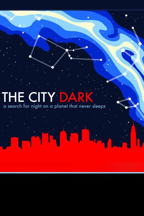 The City Dark 2012 official movie poster