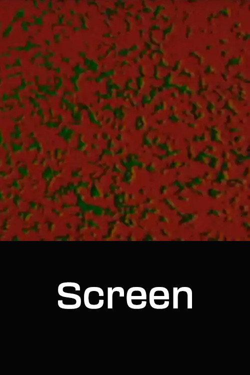 Screen 1969 official movie poster