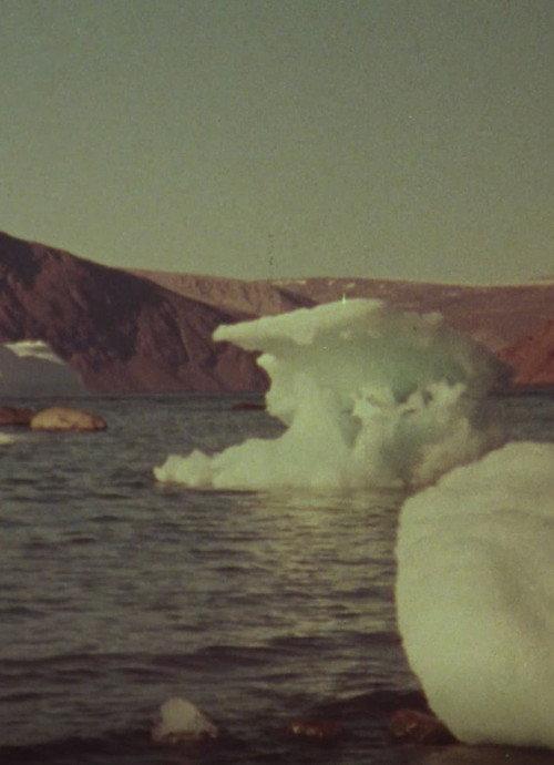 Jenny's Arctic Diary 1978 official movie poster