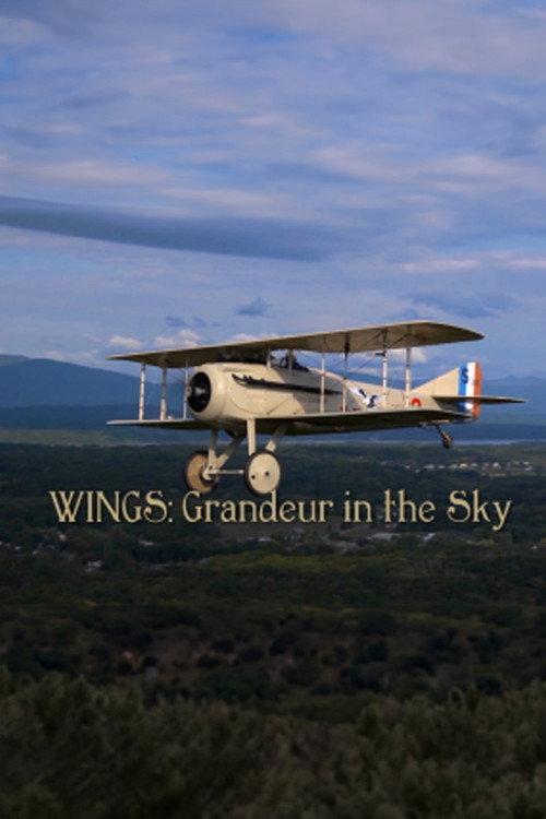 Wings: Grandeur in the Sky 2012 official movie poster