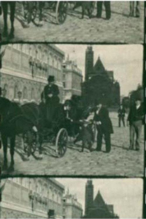 Dispute du cocher et de son client 1896 official movie poster