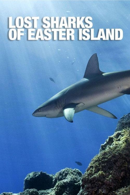 Lost Sharks of Easter Island 2011 official movie poster