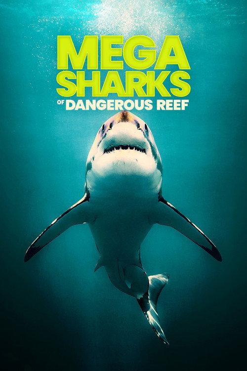 Megasharks of Dangerous Reef 2023 official movie poster