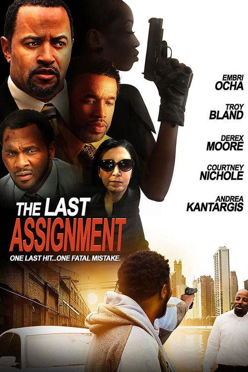 The Last Assignment 2014 official movie poster
