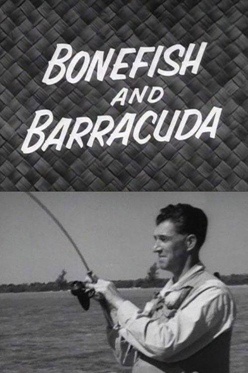 Bonefish and Barracuda 1955 official movie poster