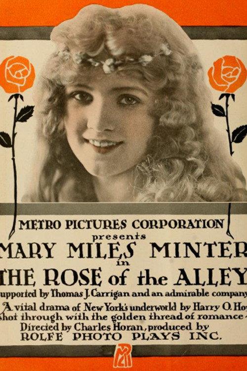 Rose of the Alley 1916 official movie poster