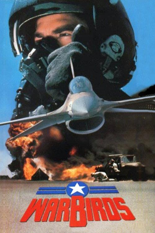 Warbirds 1989 official movie poster