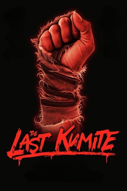 The Last Kumite 2024 official movie poster