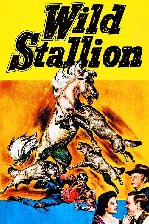 Wild Stallion 1952 official movie poster