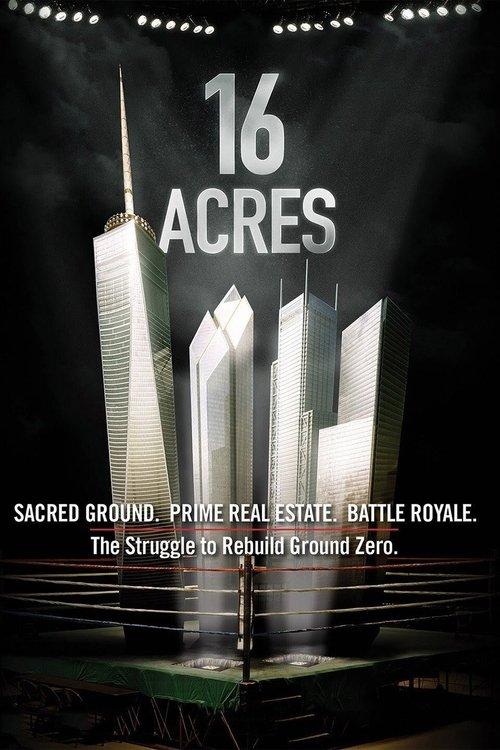 16 Acres 2012 official movie poster