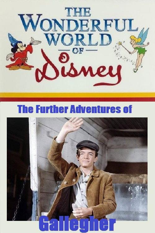 The Further Adventures of Gallegher 1965 official movie poster