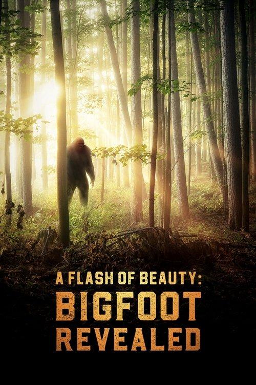 A Flash of Beauty: Bigfoot Revealed 2022 official movie poster