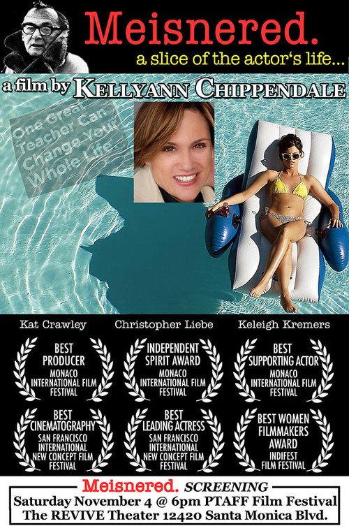 Getting Meisnered 2015 official movie poster