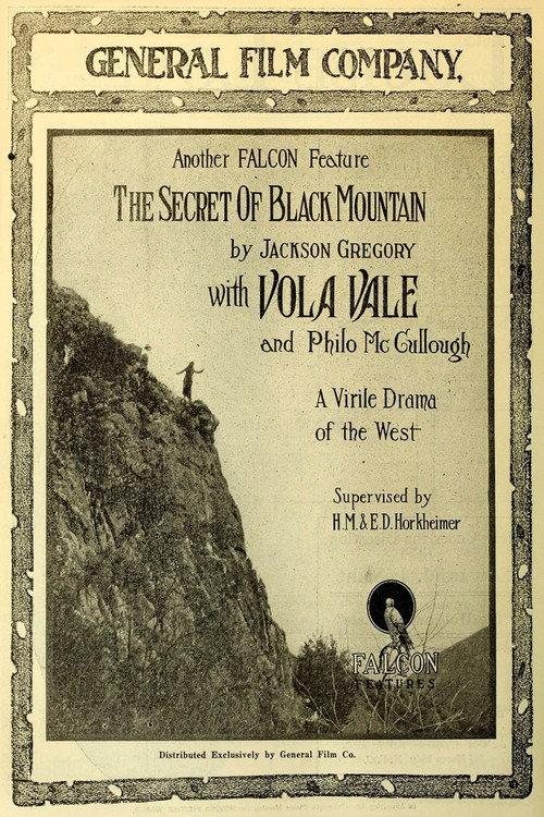The Secret of Black Mountain 1917 official movie poster