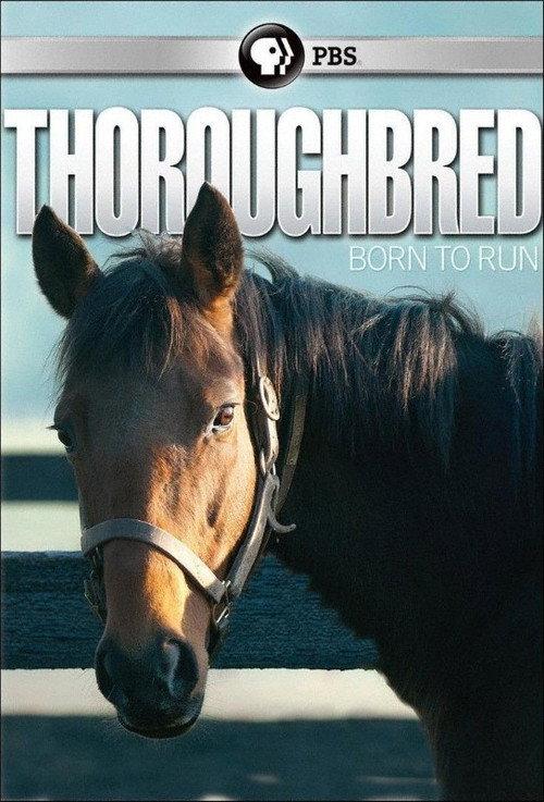 Thoroughbred: Born to Run 2011 official movie poster