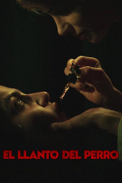 El llanto del perro 2025 official movie poster