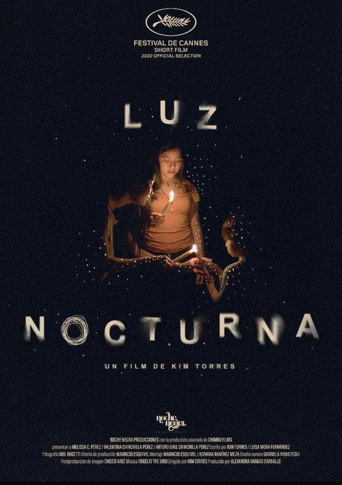 Night Light 2022 official movie poster