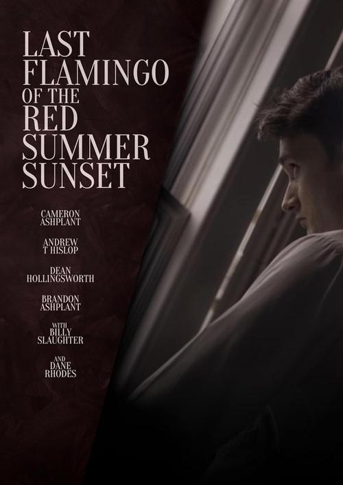 Last Flamingo of the Red Summer Sunset 2024 official movie poster