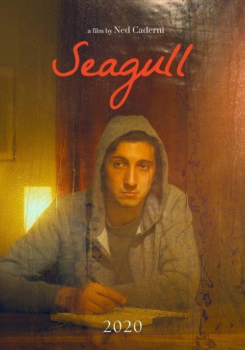 Seagull 2020 official movie poster
