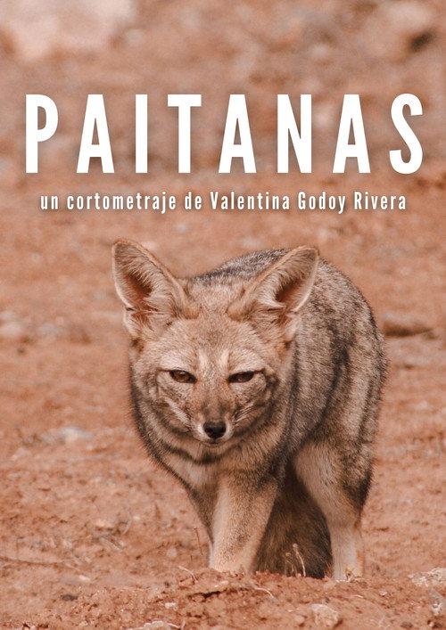 Paitanas official movie poster