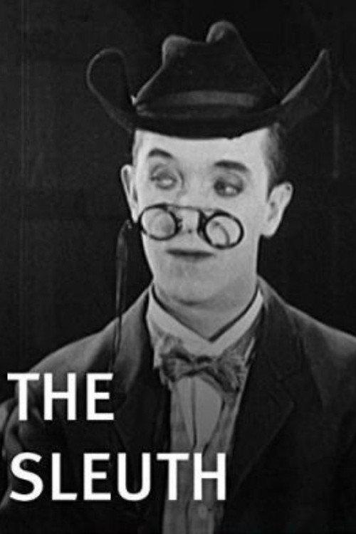 The Sleuth 1925 official movie poster