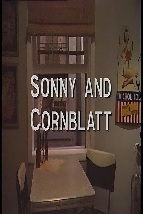 Sonny and Cornblatt 1991 official movie poster