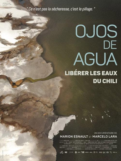 Ojos de Agua: Freeing the Waters of Chile 2025 official movie poster