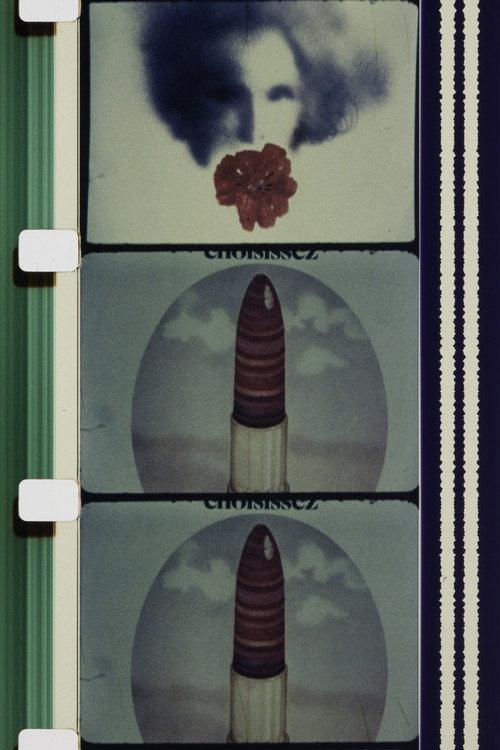 C'est Fou ! 1977 official movie poster