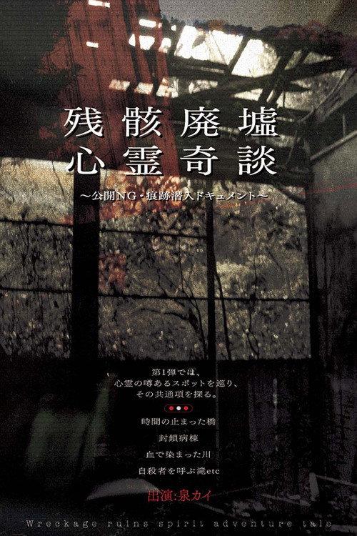 Remnants: Ruins of Spirit Tales - Unreleased Footage & Infiltration Document 2009 official movie poster