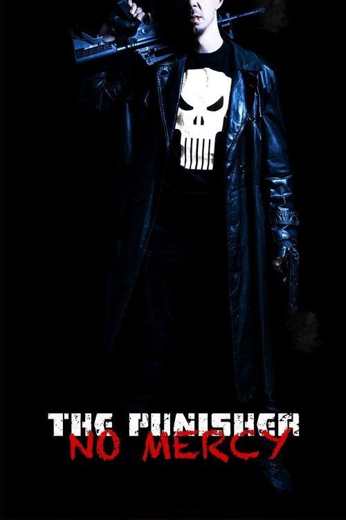 The Punisher: No Mercy 2013 official movie poster