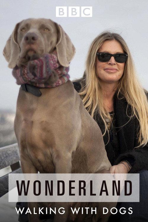 Walking with Dogs: A Wonderland Special 2012 official movie poster