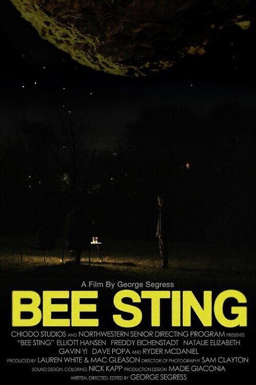 Bee Sting 2025 official movie poster
