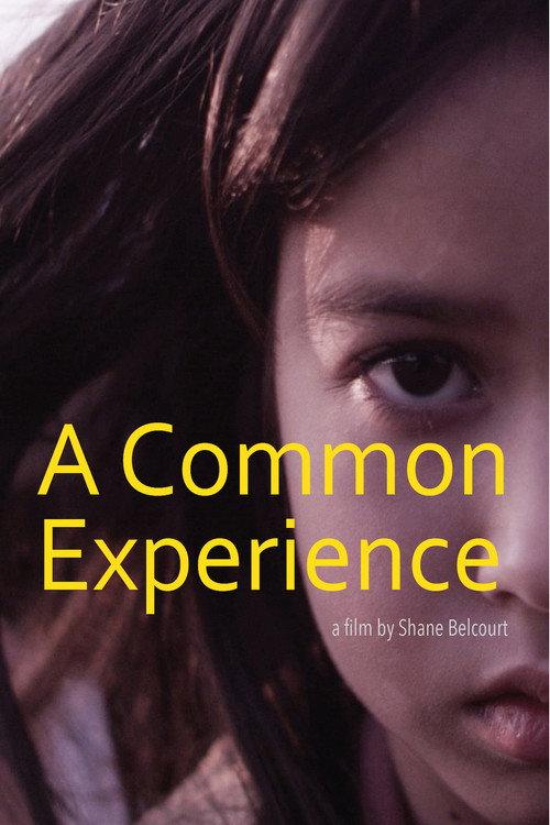 A Common Experience 2013 official movie poster