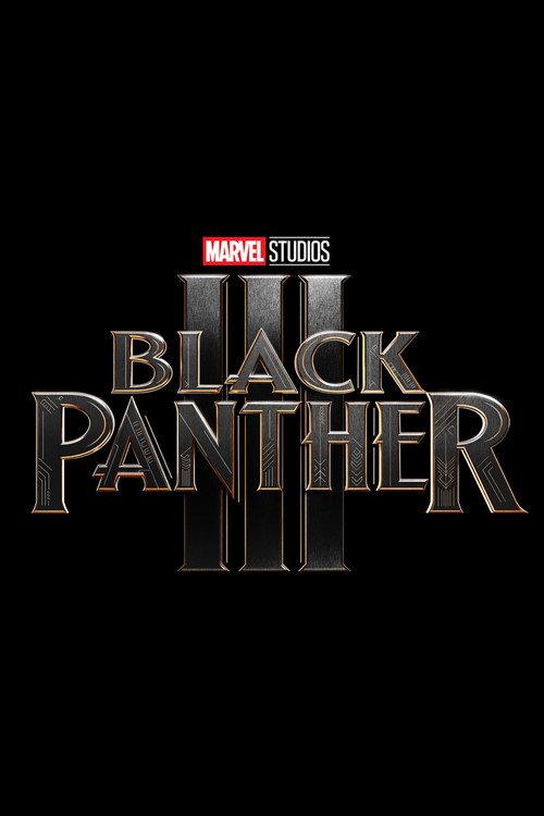Black Panther 3 2028 official movie poster