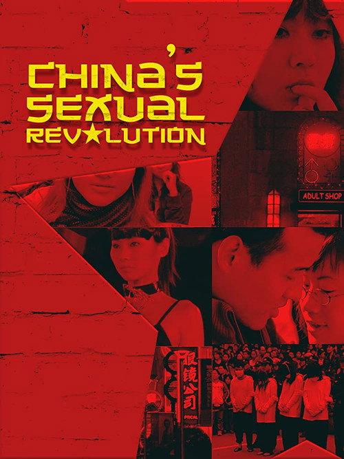 China's Sexual Revolution 2008 official movie poster