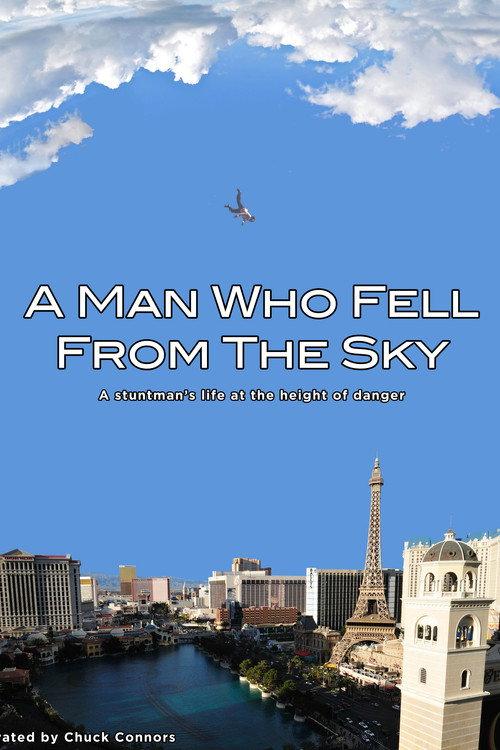 A Man Who Fell From The Sky 1999 official movie poster