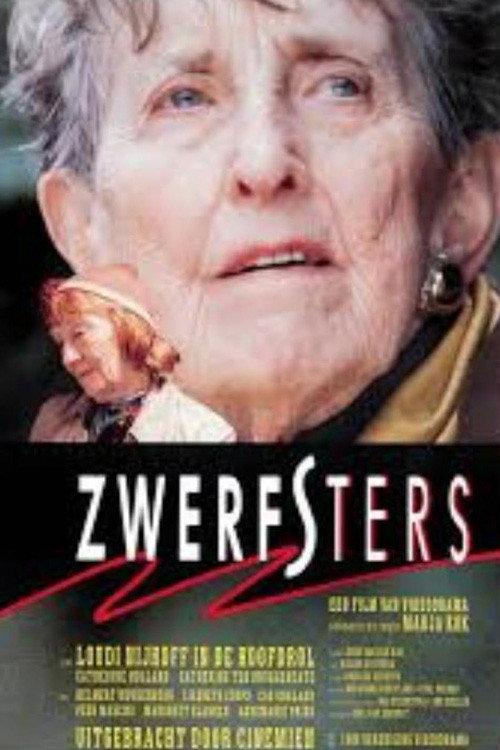 Zwerfsters 1989 official movie poster