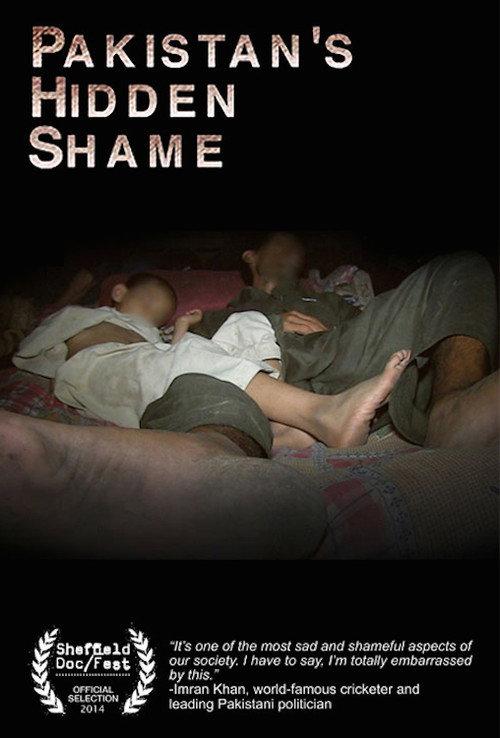 Pakistan's Hidden Shame 2014 official movie poster