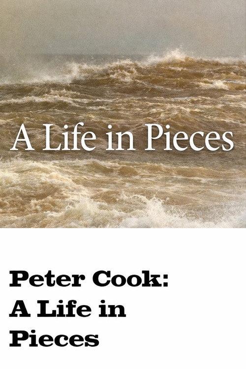 A Life in Pieces 1990 official movie poster